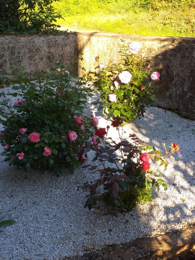 Le Fraysse Maison Belvoir מראה חיצוני תמונה